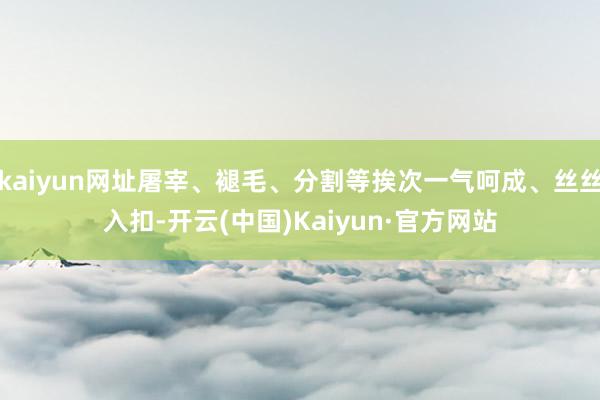 kaiyun网址屠宰、褪毛、分割等挨次一气呵成、丝丝入扣-开云(中国)Kaiyun·官方网站
