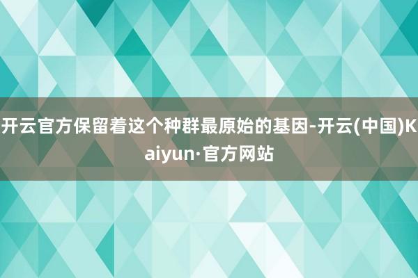 开云官方保留着这个种群最原始的基因-开云(中国)Kaiyun·官方网站