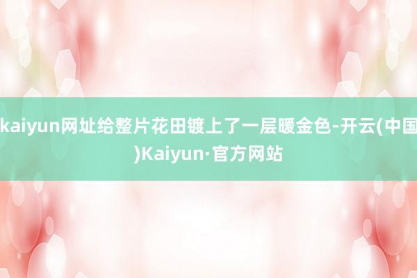kaiyun网址给整片花田镀上了一层暖金色-开云(中国)Kaiyun·官方网站