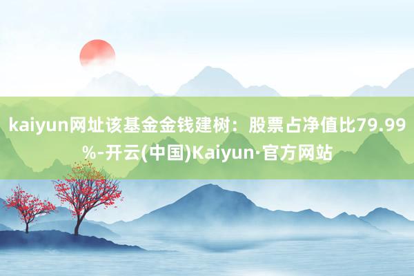 kaiyun网址该基金金钱建树:股票占净值比79.99%-开云(中国)Kaiyun·官方网站