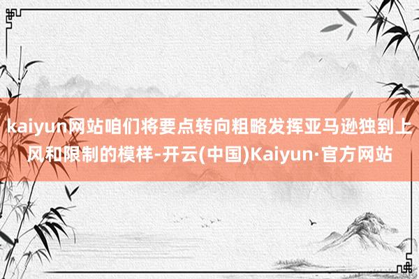 kaiyun网站咱们将要点转向粗略发挥亚马逊独到上风和限制的模样-开云(中国)Kaiyun·官方网站