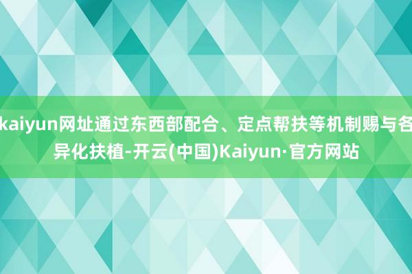 kaiyun网址通过东西部配合、定点帮扶等机制赐与各异化扶植-开云(中国)Kaiyun·官方网站