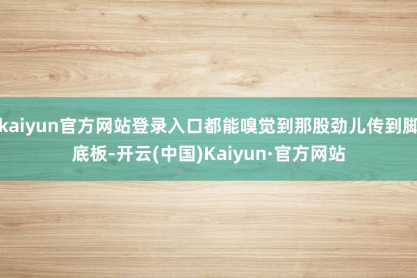 kaiyun官方网站登录入口都能嗅觉到那股劲儿传到脚底板-开云(中国)Kaiyun·官方网站