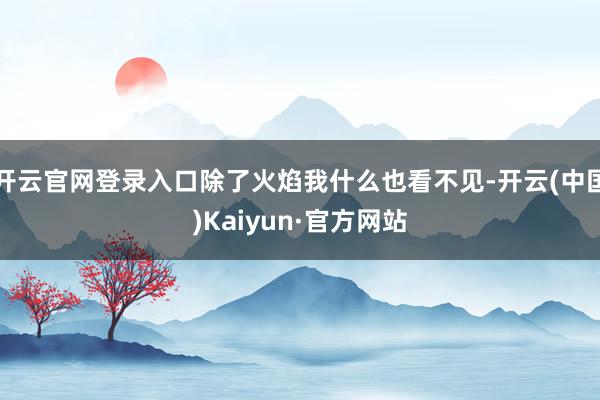 开云官网登录入口除了火焰我什么也看不见-开云(中国)Kaiyun·官方网站