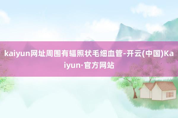 kaiyun网址周围有辐照状毛细血管-开云(中国)Kaiyun·官方网站