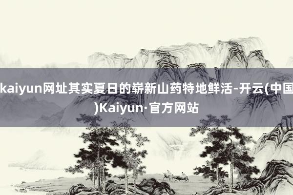 kaiyun网址其实夏日的崭新山药特地鲜活-开云(中国)Kaiyun·官方网站