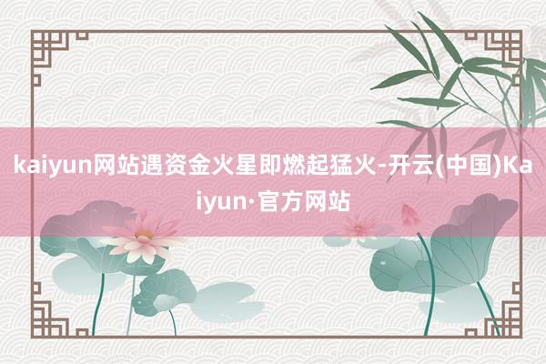 kaiyun网站遇资金火星即燃起猛火-开云(中国)Kaiyun·官方网站