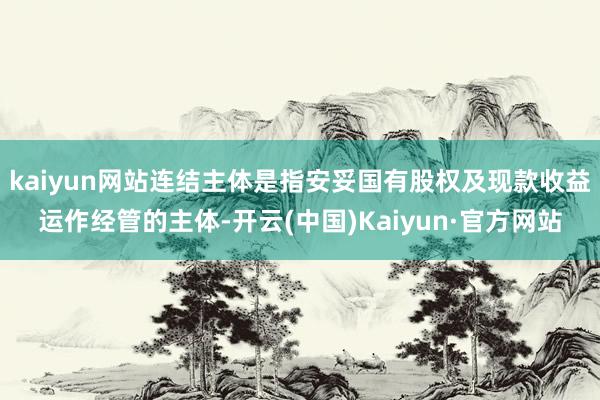 kaiyun网站连结主体是指安妥国有股权及现款收益运作经管的主体-开云(中国)Kaiyun·官方网站