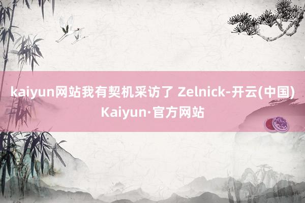 kaiyun网站我有契机采访了 Zelnick-开云(中国)Kaiyun·官方网站