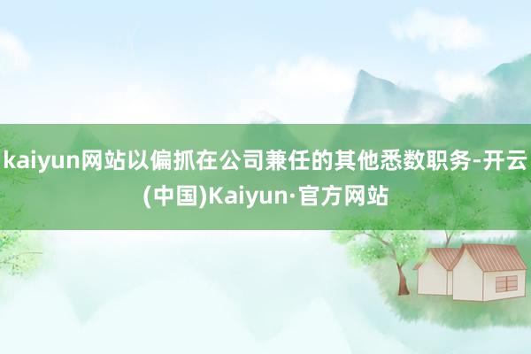 kaiyun网站以偏抓在公司兼任的其他悉数职务-开云(中国)Kaiyun·官方网站
