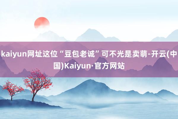 kaiyun网址这位“豆包老诚”可不光是卖萌-开云(中国)Kaiyun·官方网站