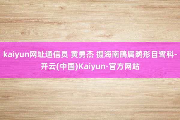 kaiyun网址通信员 黄勇杰 摄海南鳽属鹈形目鹭科-开云(中国)Kaiyun·官方网站